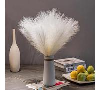 TILONKJ 30 pezzi Pampas Decorative, 55cm Pampas Decorative Alte, Piume Decorative per Vaso, Piume Decorative Lunghe, Per Matrimonio, Soggiorno, Arredamento Boho, Casa (Bianco)