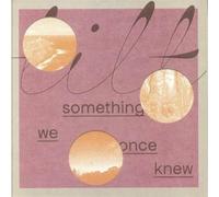 Tilt - SOMETHING WE ONCE KNEW
