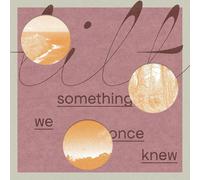 Tilt Something We Once Knew (Vinyl LP) 12" Album