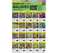 Tim Godfrey Maldives Marine Life Field Guide (Mixed Media Product)