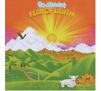 Tim Heidecker Fear of Death (Vinyl LP) 12" Album