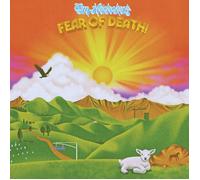 Tim Heidecker Fear of death (Vinyl LP)
