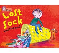 Tim Hopgood The Lost Sock (Tascabile) Collins Big Cat