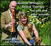 Tim Wheater - Animal Whispers - Sound Therapy for you and your animals