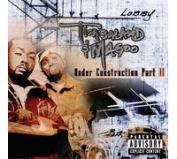 Timbaland and Magoo Under Construction, Part II (Vinyl LP) 12" Album