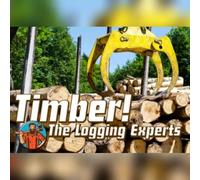 Timber! The Logging Experts (PC) Steam Gift - GLOBAL