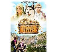 Timber The Treasure Dog