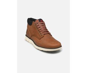 Timberland - Bradstreet mid lace sneaker Marrone - Stivaletti e tronchetti 39 1/2 Marrone