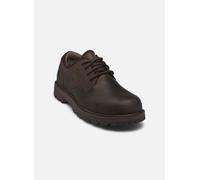 Timberland - BRITTON ROAD LACE UP WATERPROOF SHOE Marrone - Scarpe con lacci 40 Marrone