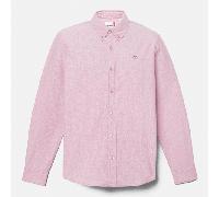 Timberland - Camicia Oxford da Uomo in rosa, Uomo, rosa, Taglia: L
