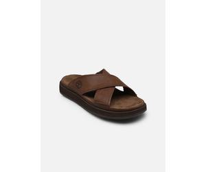 Timberland - CASCO COVE Marrone - Sandali e scarpe aperte 40 Marrone