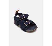 Timberland - CASTLE ISLAND BACKSTRAP SANDAL B Blu - Sandali e scarpe aperte 23 Blu