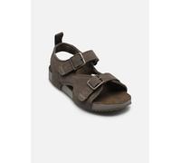 Timberland - CASTLE ISLAND BACKSTRAP SANDAL C Grigio - Sandali e scarpe aperte 32 Grigio