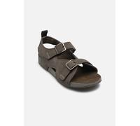 Timberland - CASTLE ISLAND BACKSTRAP SANDAL J Grigio - Sandali e scarpe aperte 37 Grigio