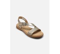 Timberland - CLBY BACKSTRAP SANDAL GOLDM Oro e bronzo - Sandali e scarpe aperte 36 Oro e bronzo