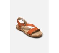 Timberland - CLBY BACKSTRAP SANDAL MDORN Arancione - Sandali e scarpe aperte - Taglia 39 39 Arancione