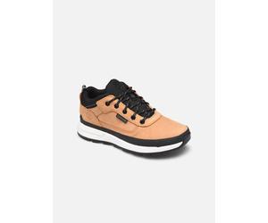 Timberland - Field Trekker Low2 Marrone - Sneakers 34 Marrone