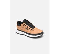 Timberland - Field Trekker Low2 Marrone - Sneakers 40 Marrone