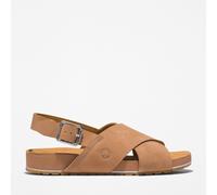 Timberland Graydon Basic Low Lace Up Sneaker 0A41 EUR 39 Marrone