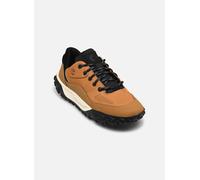 Timberland - GREENSTRIDE MOTION 6 LOW LACE HKR BOOT Nero - Sneakers 40 Nero