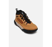 Timberland - GREENSTRIDE MOTION 6 LOW LACE UP HIKING Beige - Sneakers 34 Beige