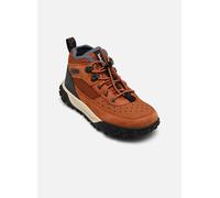 Timberland - GREENSTRIDE MOTION 6 LOW LACE UP HIKING BOOT Marrone - Sneakers 32 Marrone