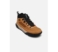 Timberland - GREENSTRIDE MOTION 6 LOW LACE UP HIKING Giallo - Sneakers 37 Giallo