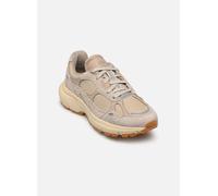 Timberland - Hazel Lane Low Beige - Sneakers 36 Beige