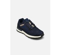 Timberland - Killington TrekkerLOW LACE SNEAKER Blu - Sneakers 36 Blu
