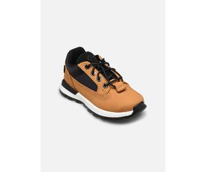 Timberland - Killington TrekkerLOW LACE SNEAKER Marrone - Sneakers 25 Marrone