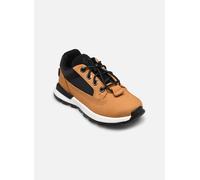 Timberland - Killington TrekkerLOW LACE SNEAKER Marrone - Sneakers 27 Marrone