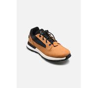 Timberland - Killington TrekkerLOW LACE SNEAKER Marrone - Sneakers 32 Marrone
