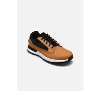 Timberland - Killington TrekkerLOW LACE SNEAKER Y Marrone - Sneakers 37 Marrone