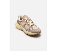 Timberland - LOW LACE SNEAKER Beige - Sneakers 38 Beige