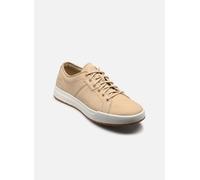 Scarpe Timberland Maple Grove Low Lace-Up beige - 40