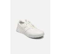 Timberland - Maple GroveLOW LACE SNEAKER Bianco - Sneakers 41 Bianco