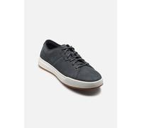 Timberland - Maple GroveLOW LACE SNEAKER Blu - Sneakers 42 Blu