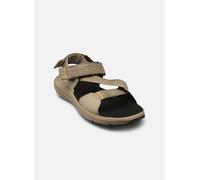 Timberland - MTDN BACKSTRAP SANDAL LTBRN Beige - Sandali e scarpe aperte 40 Beige