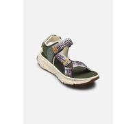 Timberland - MTDN BACKSTRAP SANDAL NATUR Bianco - Sandali e scarpe aperte 42 Bianco