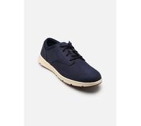 Sneaker Parker Street Low Lace Dark Blue Nubuk