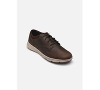 Timberland - Parker Street Low Lace Sneaker Marrone - Sneakers 45 Marrone