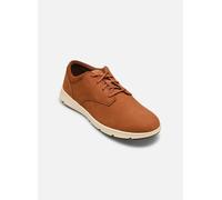 Timberland Parker Street Low Lace TB0A6C8EA4H, Scarpe Sportive Uomo - 42 EU