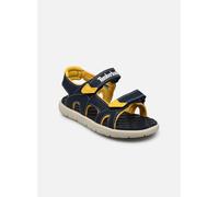 Timberland Perkins Row 2 Strap Toddler Sandals Blu EU 27 Bambini