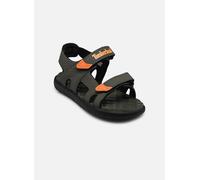Timberland Perkins Row 2 Strap Toddler Sandals Verde EU 29 Bambini