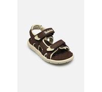 Timberland - Perkins Row BACKSTRAP SANDAL B Marrone - Sandali e scarpe aperte 24 Marrone