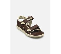 Timberland - Perkins Row BACKSTRAP SANDAL C Marrone - Sandali e scarpe aperte 35 Marrone