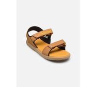 Timberland Perkins Row Backstrap Nubuck Junior Sandals Marrone EU 39 Bambini