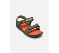 Timberland - Perkins Row BACKSTRAP SANDAL Verde - Sandali e scarpe aperte 36 Verde