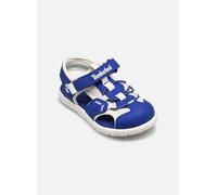 Timberland - Perkins Row FISHERMAN SANDAL B Blu - Sandali e scarpe aperte 26 Blu