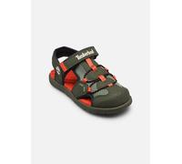 Timberland - Perkins Row FISHERMAN SANDAL C Verde - Sandali e scarpe aperte 34 Verde